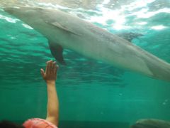 -波塞冬旅游度假区