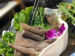 -珍巴奴毛肚牛肉小火锅(四惠店)