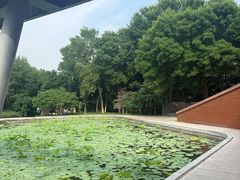 -河北省园博园