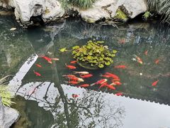 -胡雪岩故居
