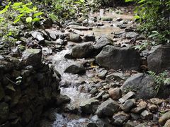 -火炉山森林公园