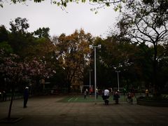 -垂虹公园