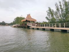 -东寨港红树林旅游区