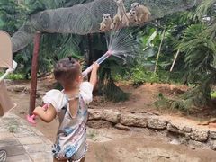 -呀路古热带植物园