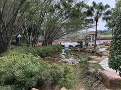 -深圳龙潭公园