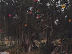 -牛岗山公园