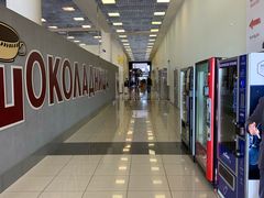 -谢列梅捷沃国际机场