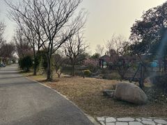 -鹅湖玫瑰文化园