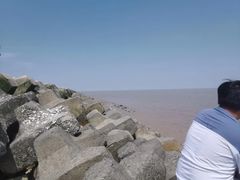 -南汇嘴观海公园