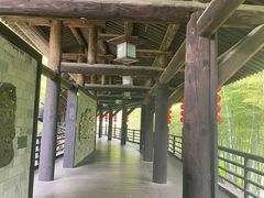 -大唐贡茶院