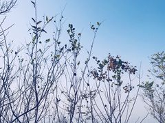 -杭州半山国家森林公园