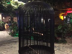 -泉城欧乐堡戏水湾艺术养生温泉