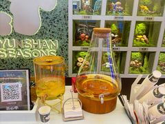 -芸山季·云南野生菌火锅(南翔印象城MEGA店)