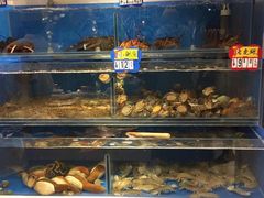 水产区-小平岛開海水饺(浑南店)