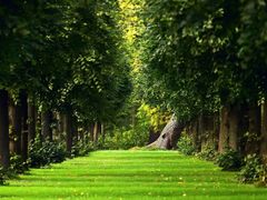 android_upload_pic-三亚亚龙湾红树林度假酒店