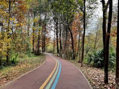 -桤木河湿地公园