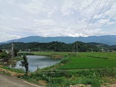 -高子烧鸡公(五里堆路店)