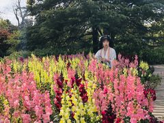 -上海滨江森林公园
