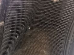 -四月宠物医院·猫专科·心脏专科·内科(转塘店)