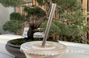 Snow Mountain Americano