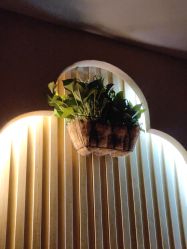 -永琪美容美发全国直营连锁