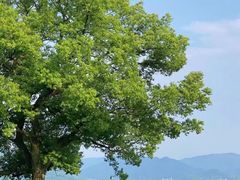 -东钱湖旅游度假区