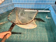 -金百门·顺德海鲜酒家(陈村店)