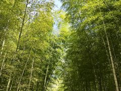 -陶祖圣境风景区