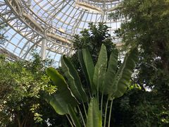-郑州植物园