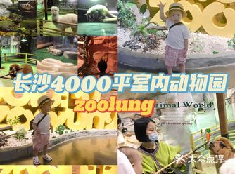 长沙亲子｜三刷zoolung室内动物园|暑假遛娃
