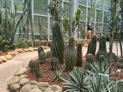 -郑州植物园