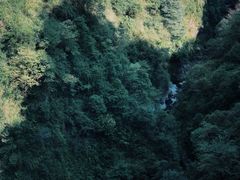 -鹿院坪生态旅游景区