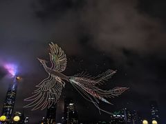 -海心沙亚运公园