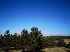 -赤峰宴宾楼(满洲里路店)