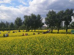 -长白岛森林公园