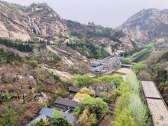-寿奶茶·鲜奶与茶(合生汇购物中心店)