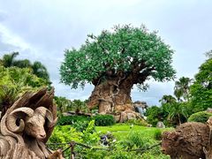 -奥兰多环球影城