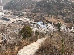 -南窖乡水峪村山情农家