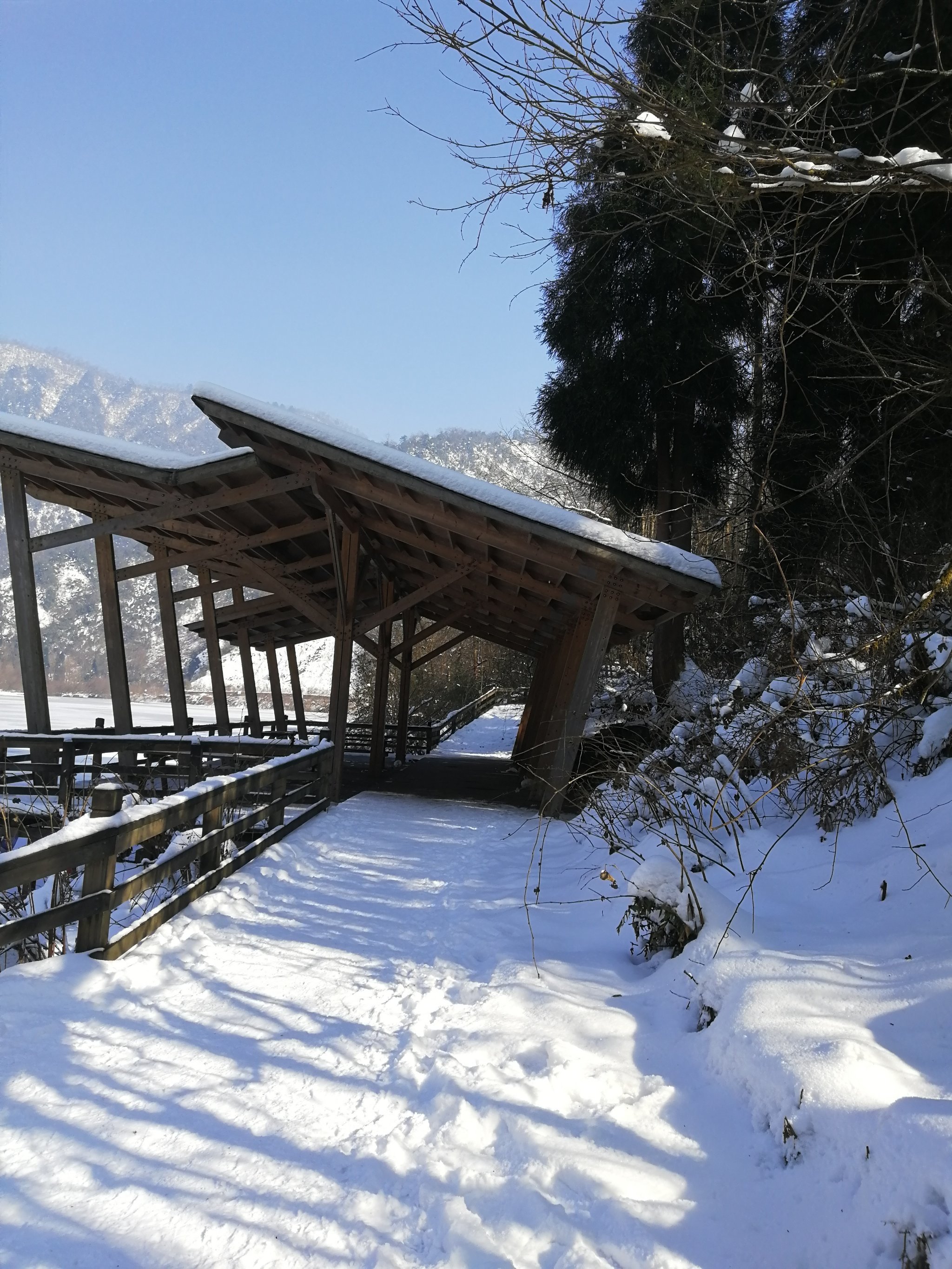 龙池雪景图片