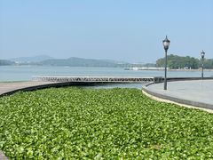 -水上明月·湖景餐厅