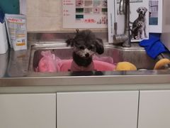 -酷宠动物医院(天通西苑店)