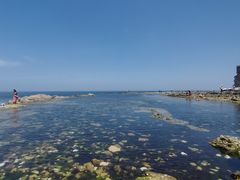 -养马岛旅游度假区