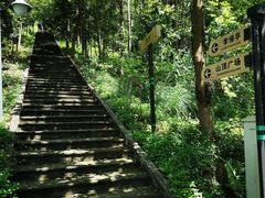 -神光山国家森林公园