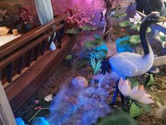 -韵秋荷(宝山龙湖天街店)