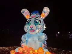-广西壮族自治区药用植物园
