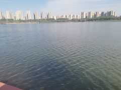 -丁香湖公园