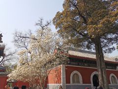 -北京艺术博物馆(万寿寺)