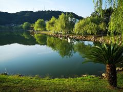 -明月山天沐温泉度假村