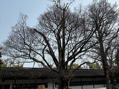 -苏州文庙(姑苏区)