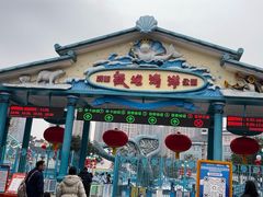 -海合安成都极地海洋公园